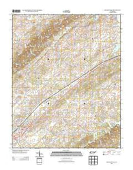 Madisonville Tennessee Historical topographic map, 1:24000 scale, 7.5 X 7.5 Minute, Year 2013