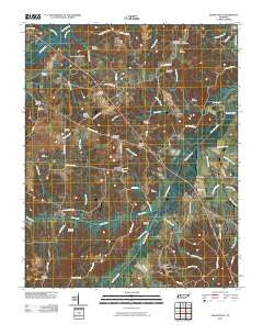 Manleyville Tennessee Historical topographic map, 1:24000 scale, 7.5 X 7.5 Minute, Year 2010