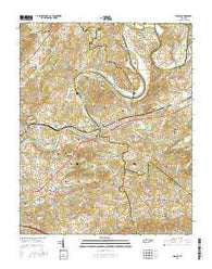 Mascot Tennessee Current topographic map, 1:24000 scale, 7.5 X 7.5 Minute, Year 2016