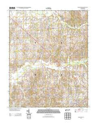 McKenzie Tennessee Historical topographic map, 1:24000 scale, 7.5 X 7.5 Minute, Year 2013