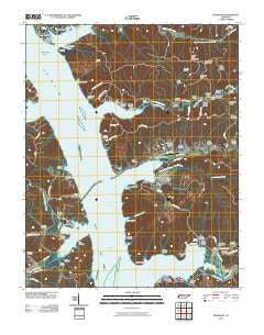 McKinnon Tennessee Historical topographic map, 1:24000 scale, 7.5 X 7.5 Minute, Year 2010