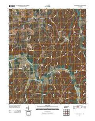 McLemoresville Tennessee Historical topographic map, 1:24000 scale, 7.5 X 7.5 Minute, Year 2010