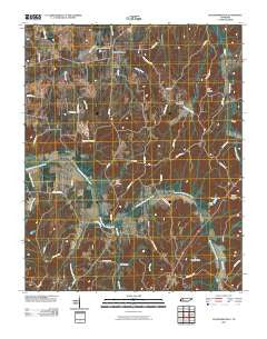 McLemoresville Tennessee Historical topographic map, 1:24000 scale, 7.5 X 7.5 Minute, Year 2010