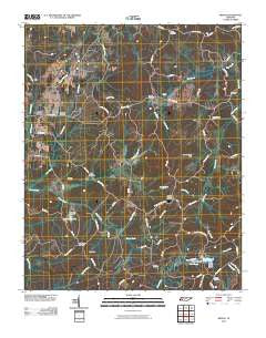 Medon Tennessee Historical topographic map, 1:24000 scale, 7.5 X 7.5 Minute, Year 2010