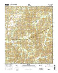 Medon Tennessee Current topographic map, 1:24000 scale, 7.5 X 7.5 Minute, Year 2016