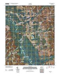 Mercer Tennessee Historical topographic map, 1:24000 scale, 7.5 X 7.5 Minute, Year 2010