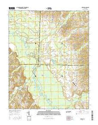 Mercer Tennessee Current topographic map, 1:24000 scale, 7.5 X 7.5 Minute, Year 2016