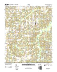 Middleburg Tennessee Historical topographic map, 1:24000 scale, 7.5 X 7.5 Minute, Year 2013