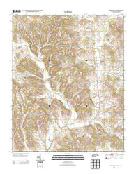 Milky Way Tennessee Historical topographic map, 1:24000 scale, 7.5 X 7.5 Minute, Year 2013