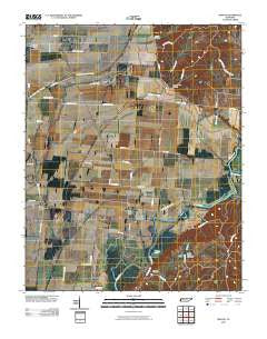 Miston Tennessee Historical topographic map, 1:24000 scale, 7.5 X 7.5 Minute, Year 2010