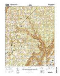 Morgan Springs Tennessee Current topographic map, 1:24000 scale, 7.5 X 7.5 Minute, Year 2016