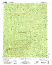 Mount Guyot Tennessee Historical topographic map, 1:24000 scale, 7.5 X 7.5 Minute, Year 2000