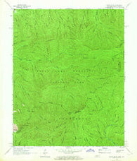 Mount Guyot Tennessee Historical topographic map, 1:24000 scale, 7.5 X 7.5 Minute, Year 1964
