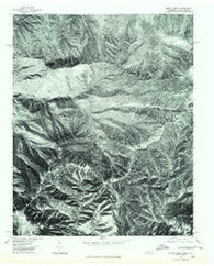 Mount Guyot Tennessee Historical topographic map, 1:24000 scale, 7.5 X 7.5 Minute, Year 1976