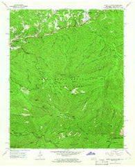 Mount Le Conte Tennessee Historical topographic map, 1:24000 scale, 7.5 X 7.5 Minute, Year 1964