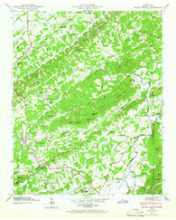 Mount Vernon Tennessee Historical topographic map, 1:24000 scale, 7.5 X 7.5 Minute, Year 1946