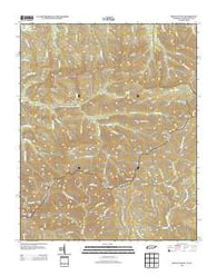 Mount Guyot Tennessee Historical topographic map, 1:24000 scale, 7.5 X 7.5 Minute, Year 2013