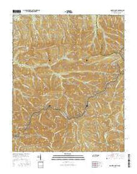 Mount Guyot Tennessee Current topographic map, 1:24000 scale, 7.5 X 7.5 Minute, Year 2016
