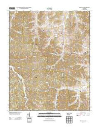 Mount Joy Tennessee Historical topographic map, 1:24000 scale, 7.5 X 7.5 Minute, Year 2013