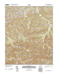 Mount Le Conte Tennessee Historical topographic map, 1:24000 scale, 7.5 X 7.5 Minute, Year 2013