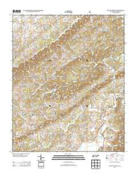 Mount Vernon Tennessee Historical topographic map, 1:24000 scale, 7.5 X 7.5 Minute, Year 2013