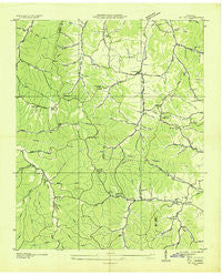Mt Joy Tennessee Historical topographic map, 1:24000 scale, 7.5 X 7.5 Minute, Year 1936