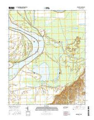 Open Lake Tennessee Current topographic map, 1:24000 scale, 7.5 X 7.5 Minute, Year 2016