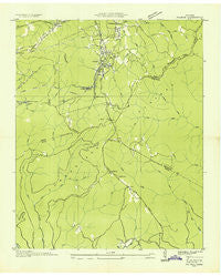 Palmer Tennessee Historical topographic map, 1:24000 scale, 7.5 X 7.5 Minute, Year 1936