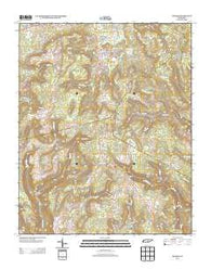 Palmer Tennessee Historical topographic map, 1:24000 scale, 7.5 X 7.5 Minute, Year 2013