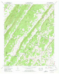 Pattie Gap Tennessee Historical topographic map, 1:24000 scale, 7.5 X 7.5 Minute, Year 1973