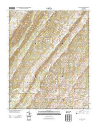 Pattie Gap Tennessee Historical topographic map, 1:24000 scale, 7.5 X 7.5 Minute, Year 2013