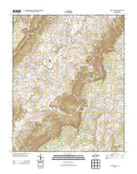 Pikeville Tennessee Historical topographic map, 1:24000 scale, 7.5 X 7.5 Minute, Year 2013