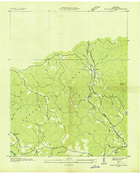 Pilot Mountain Tennessee Historical topographic map, 1:24000 scale, 7.5 X 7.5 Minute, Year 1935