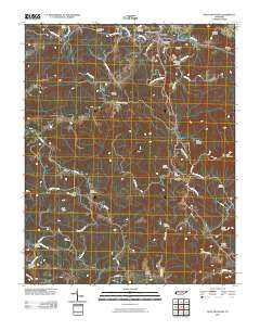 Pilot Mountain Tennessee Historical topographic map, 1:24000 scale, 7.5 X 7.5 Minute, Year 2010