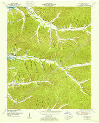 Pine View Tennessee Historical topographic map, 1:24000 scale, 7.5 X 7.5 Minute, Year 1949