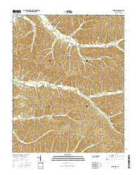 Pine View Tennessee Current topographic map, 1:24000 scale, 7.5 X 7.5 Minute, Year 2016