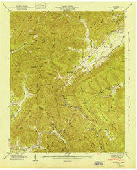 Pioneer Tennessee Historical topographic map, 1:24000 scale, 7.5 X 7.5 Minute, Year 1946
