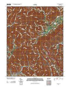 Pioneer Tennessee Historical topographic map, 1:24000 scale, 7.5 X 7.5 Minute, Year 2010