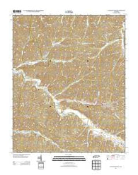Pleasantville Tennessee Historical topographic map, 1:24000 scale, 7.5 X 7.5 Minute, Year 2013