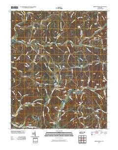 Primm Springs Tennessee Historical topographic map, 1:24000 scale, 7.5 X 7.5 Minute, Year 2010