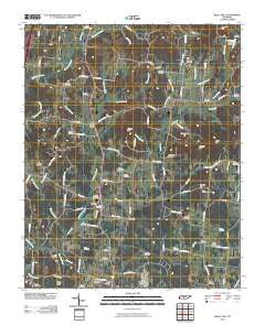 Rally Hill Tennessee Historical topographic map, 1:24000 scale, 7.5 X 7.5 Minute, Year 2010
