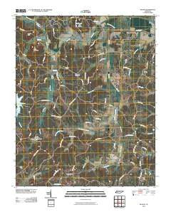 Reagan Tennessee Historical topographic map, 1:24000 scale, 7.5 X 7.5 Minute, Year 2010