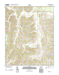 Reagan Tennessee Historical topographic map, 1:24000 scale, 7.5 X 7.5 Minute, Year 2013