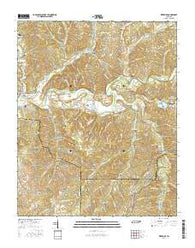 Riverside Tennessee Current topographic map, 1:24000 scale, 7.5 X 7.5 Minute, Year 2016