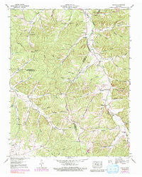 Ruskin Tennessee Historical topographic map, 1:24000 scale, 7.5 X 7.5 Minute, Year 1953