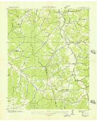 Ruskin Tennessee Historical topographic map, 1:24000 scale, 7.5 X 7.5 Minute, Year 1936