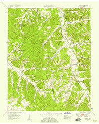Ruskin Tennessee Historical topographic map, 1:24000 scale, 7.5 X 7.5 Minute, Year 1953