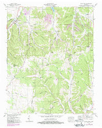 Sandy Hook Tennessee Historical topographic map, 1:24000 scale, 7.5 X 7.5 Minute, Year 1951