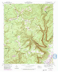 Savage Point Tennessee Historical topographic map, 1:24000 scale, 7.5 X 7.5 Minute, Year 1946