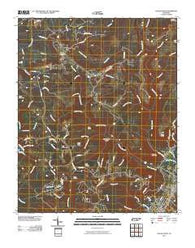Savage Point Tennessee Historical topographic map, 1:24000 scale, 7.5 X 7.5 Minute, Year 2010